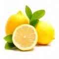 Limon Fidanı